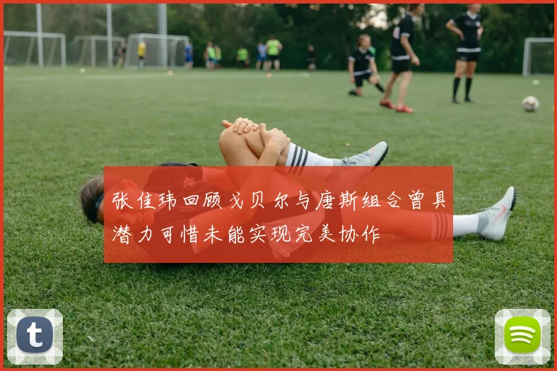 张佳玮回顾戈贝尔与唐斯组合曾具潜力可惜未能实现完美协作